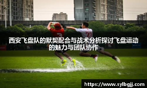 ag庄闲网站